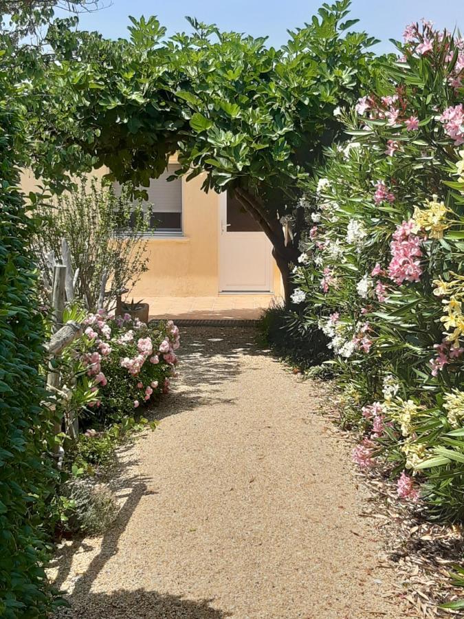 Petite Maison De Campagne Gardoise Théziers Extérieur photo